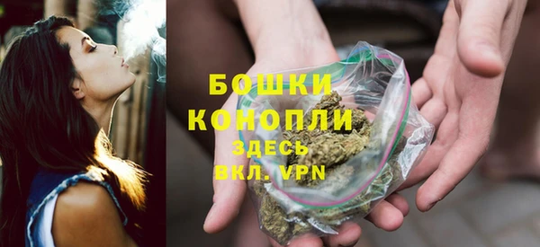 индика Киреевск