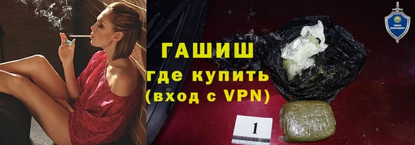 индика Киреевск