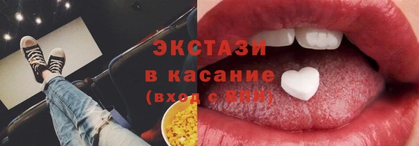 индика Киреевск