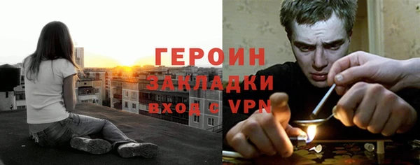 индика Киреевск