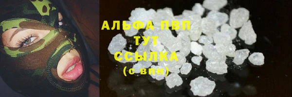индика Киреевск