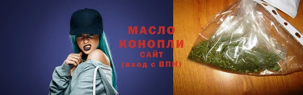 индика Киреевск