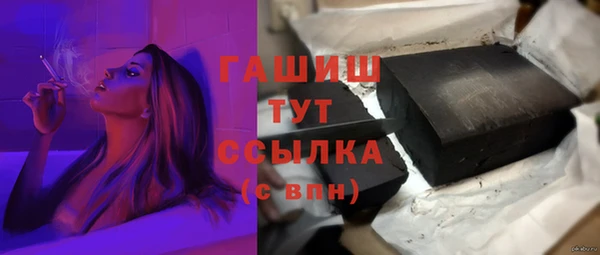 индика Киреевск