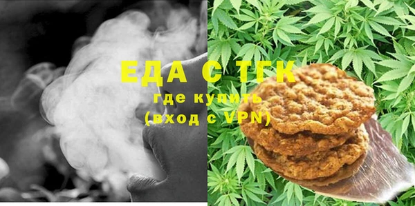 индика Киреевск