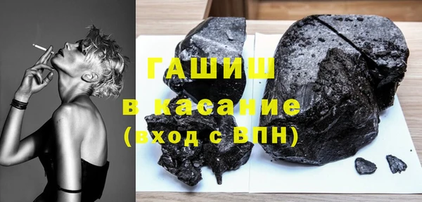 индика Киреевск