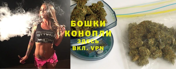 индика Киреевск