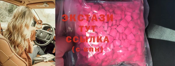 индика Киреевск