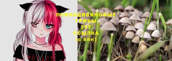 индика Киреевск