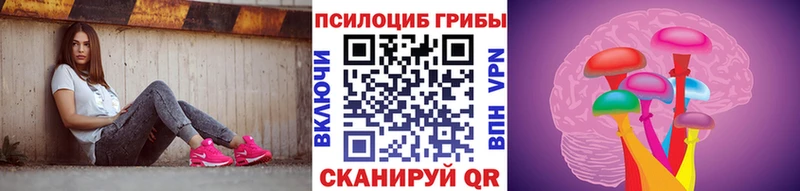 Купить где  Сасово  Псилоцибиновые грибы мухоморы 